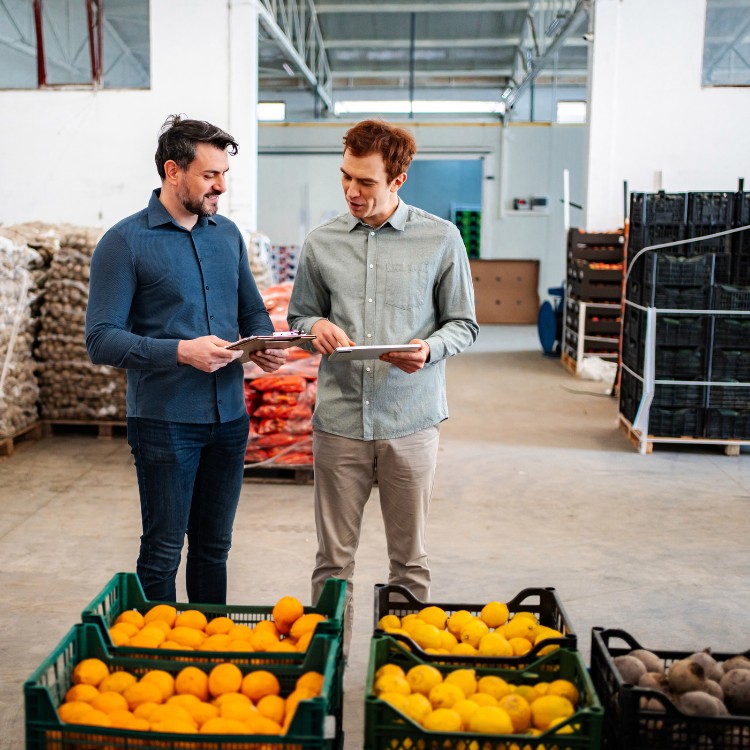 Just another WordPress site